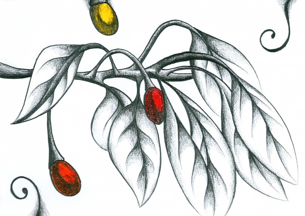  alkotó: Kulik