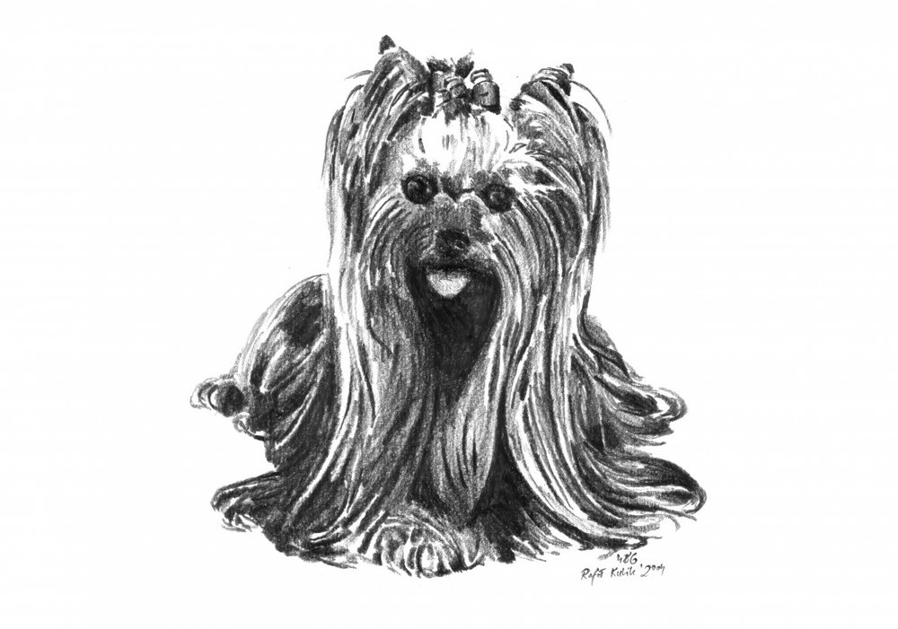  alkotó: Kulik