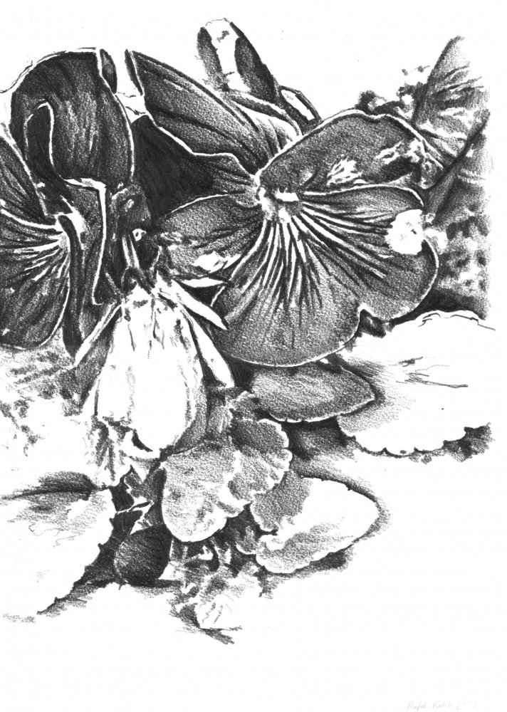  alkotó: Kulik