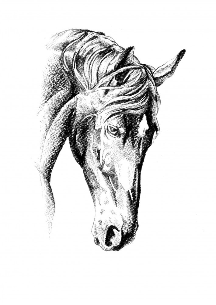  alkotó: Kulik
