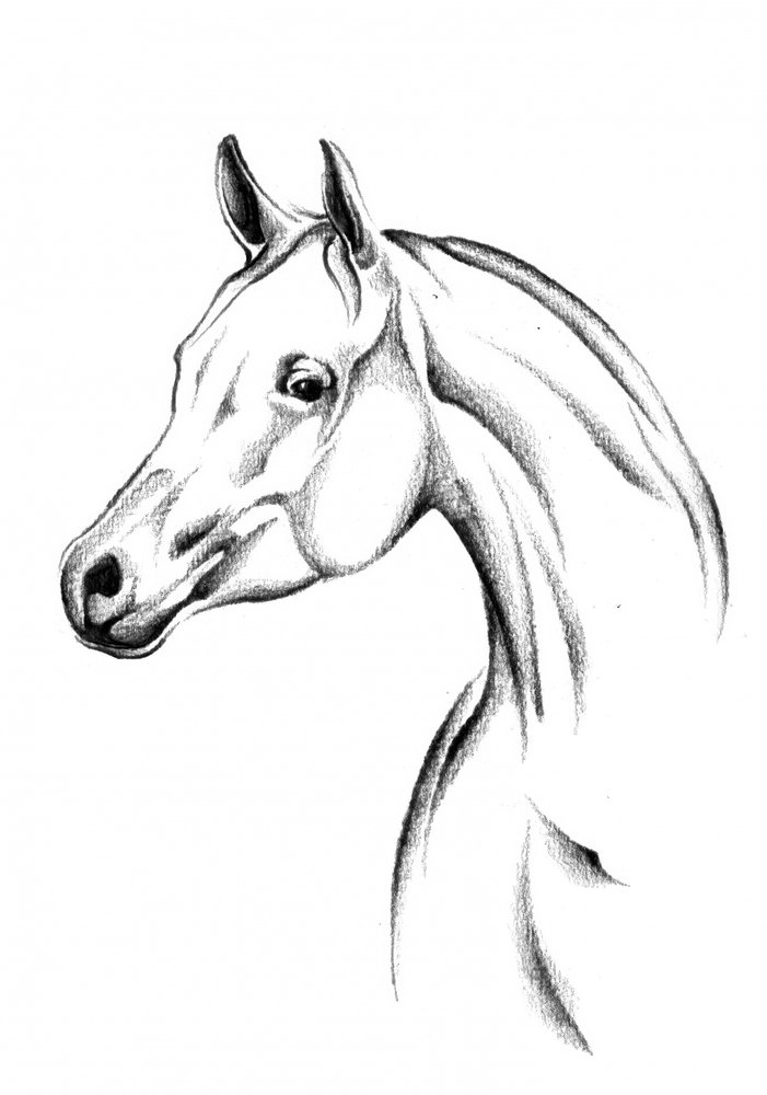  alkotó: Kulik