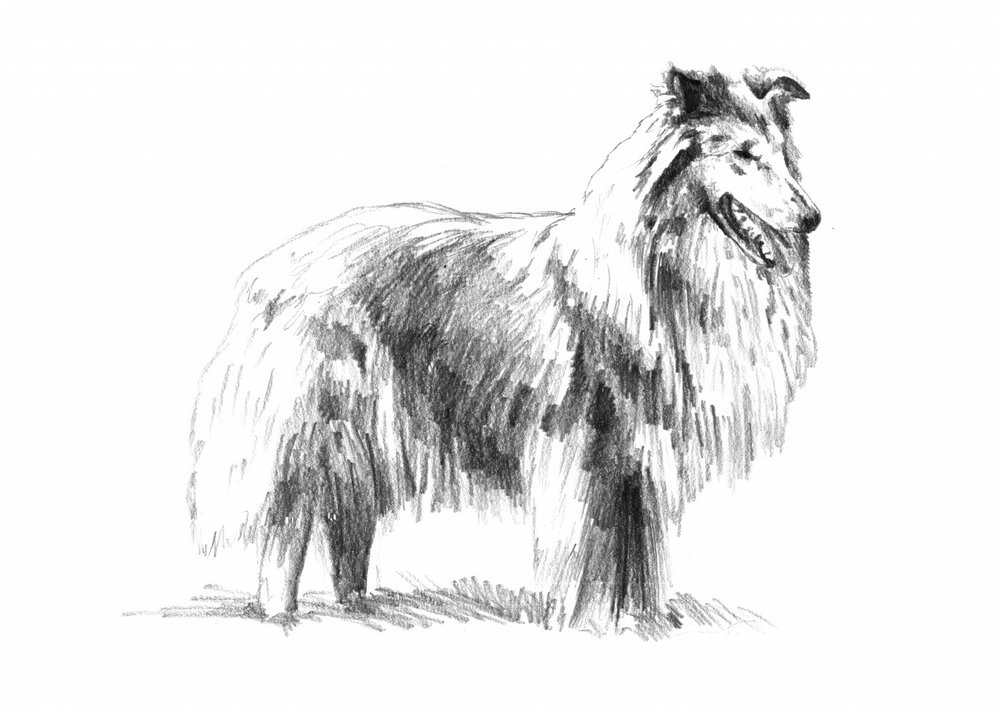  alkotó: Kulik
