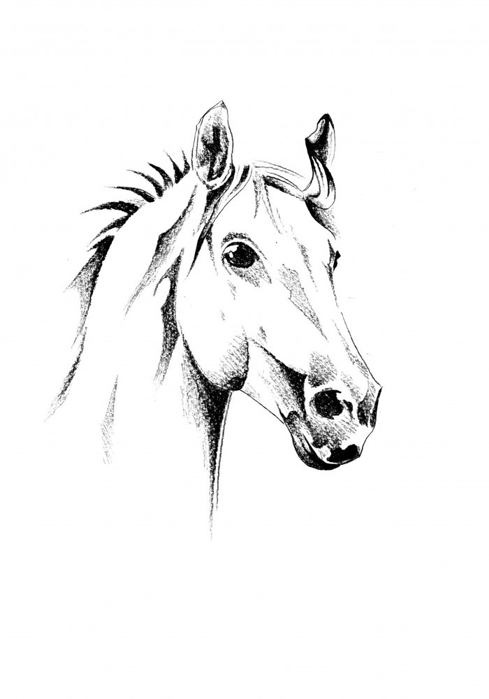  alkotó: Kulik