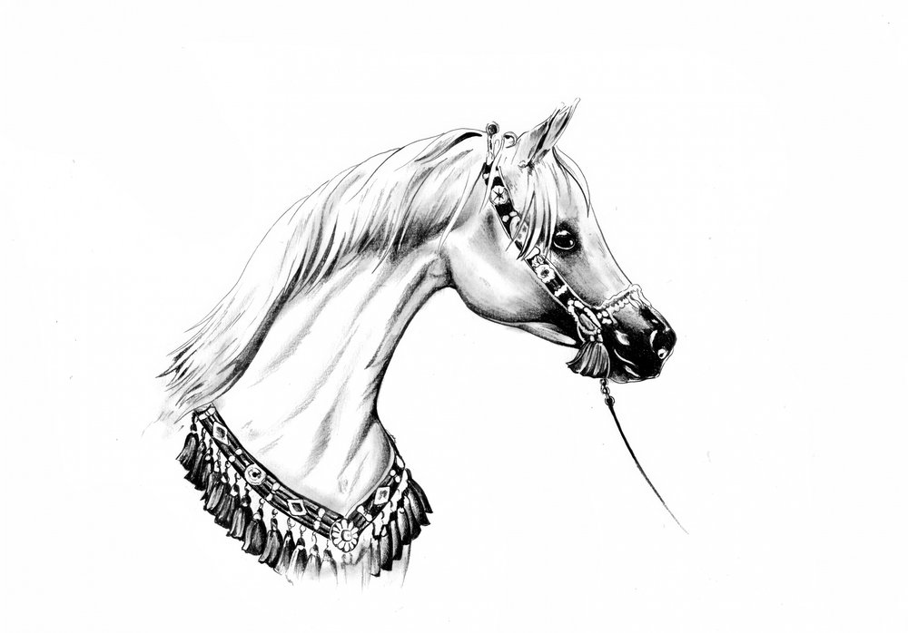  alkotó: Kulik