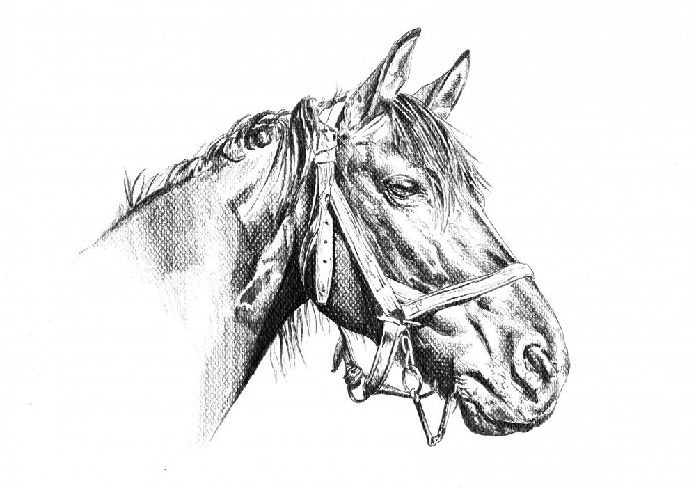  alkotó: Kulik