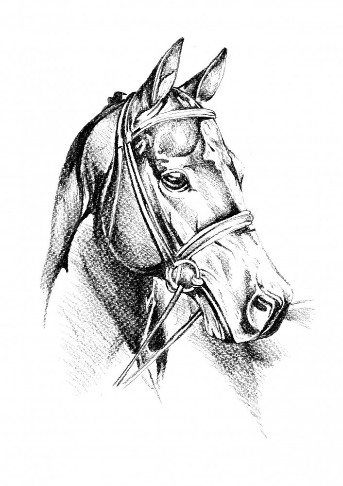  alkotó: Kulik