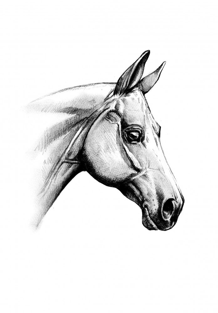  alkotó: Kulik