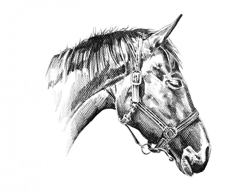  alkotó: Kulik