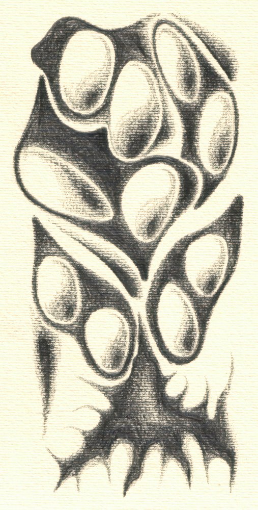  alkotó: Kulik