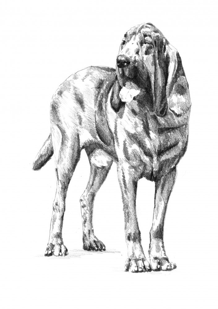  alkotó: Kulik