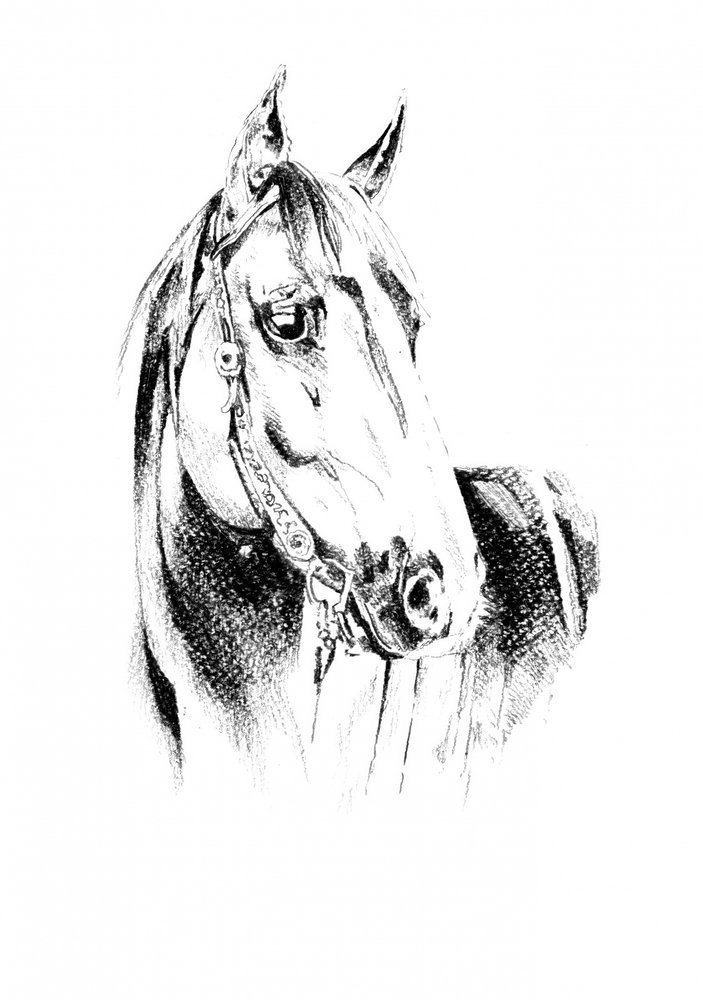  alkotó: Kulik