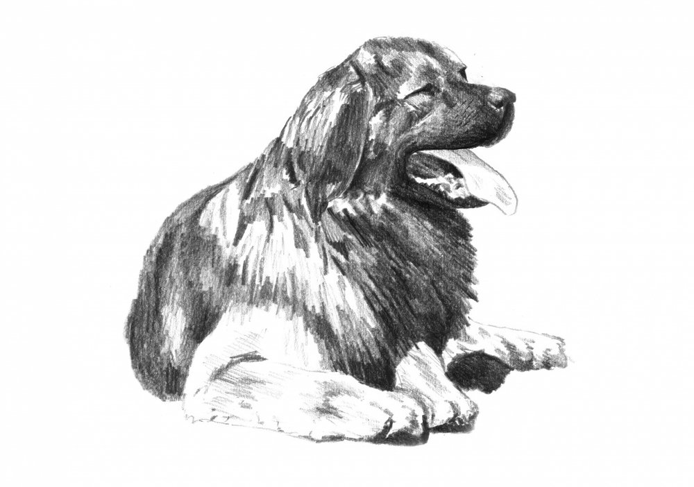  alkotó: Kulik