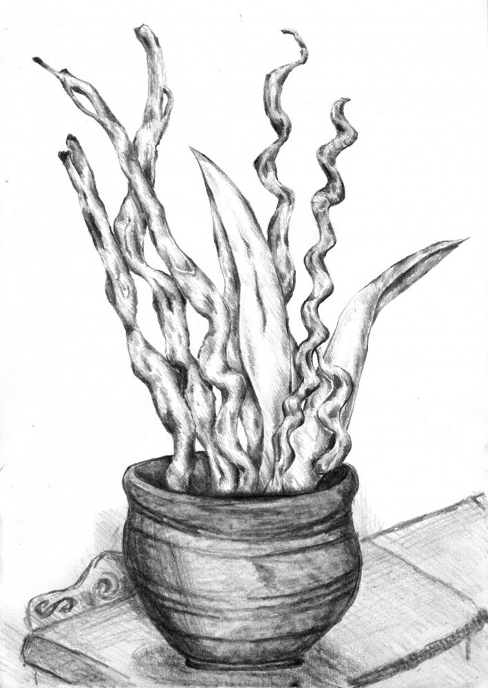  alkotó: Kulik