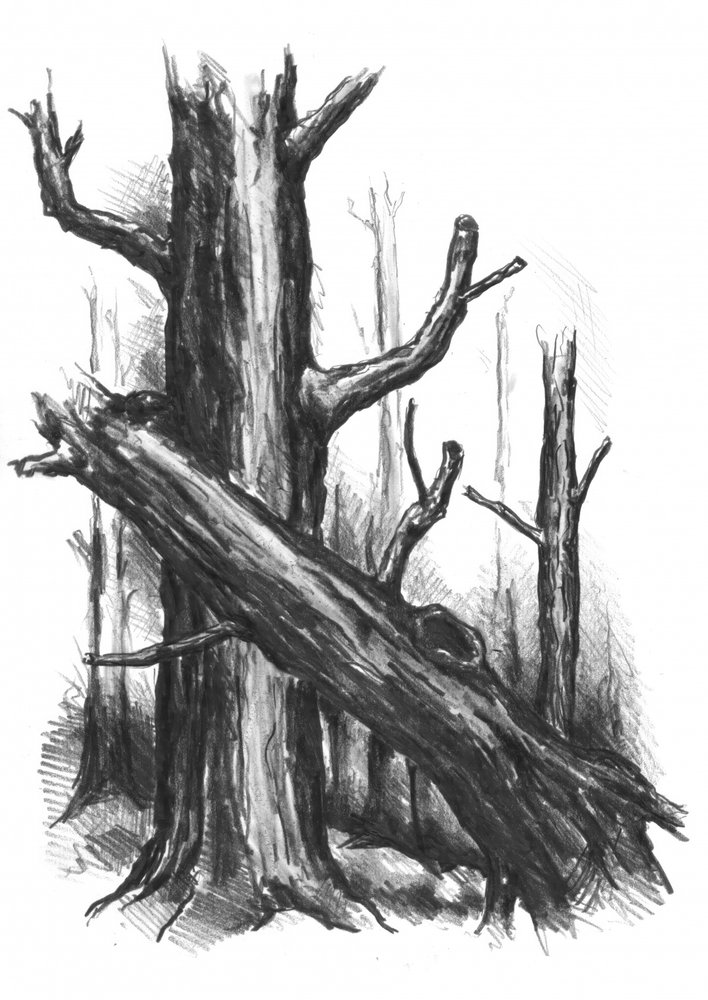  alkotó: Kulik