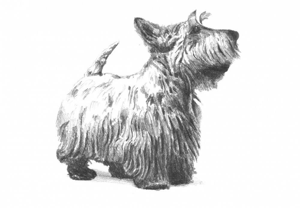  alkotó: Kulik
