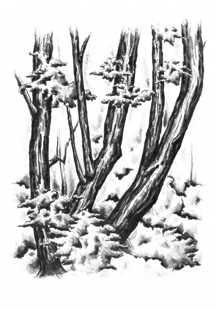  alkotó: Kulik