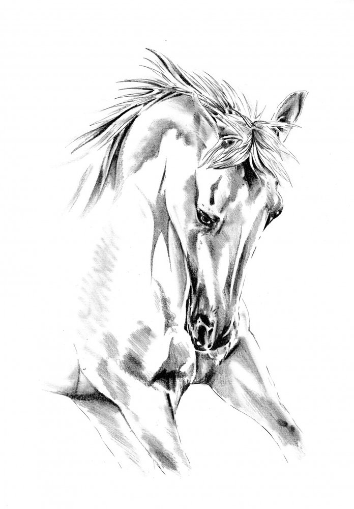  alkotó: Kulik