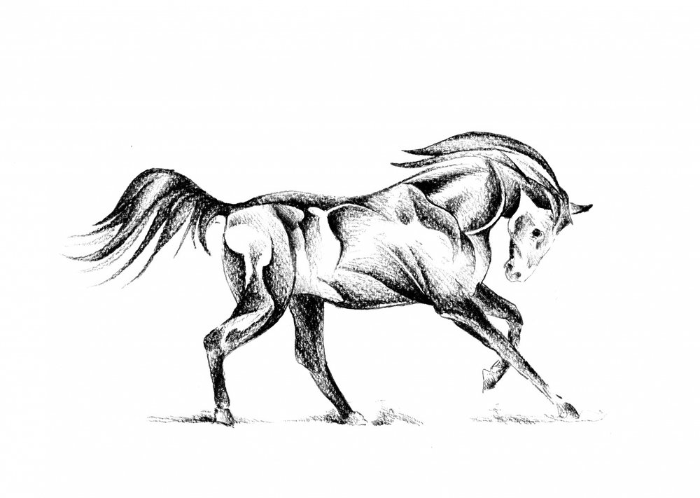  alkotó: Kulik