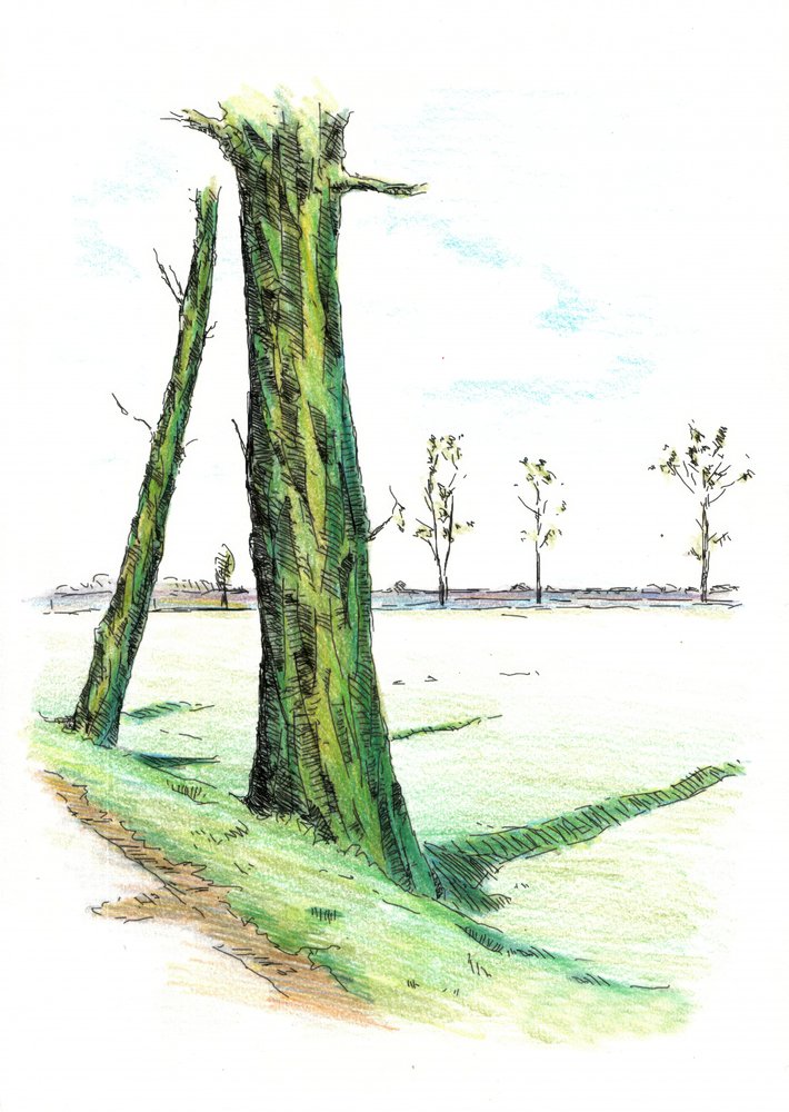  alkotó: Kulik