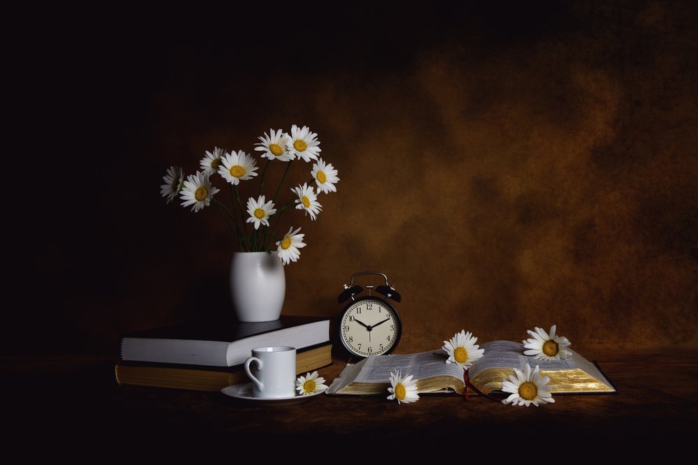 Daisies Books: Reggeli nyugalom alkotó: Leah Xu