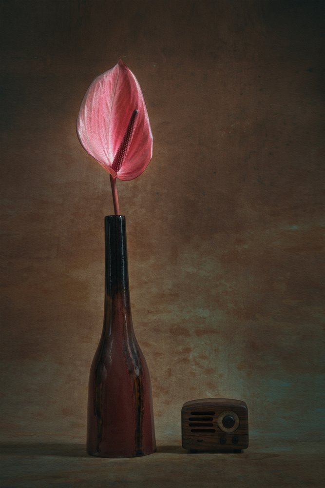 Elegáns anthurium és rádió alkotó: Liu Xing