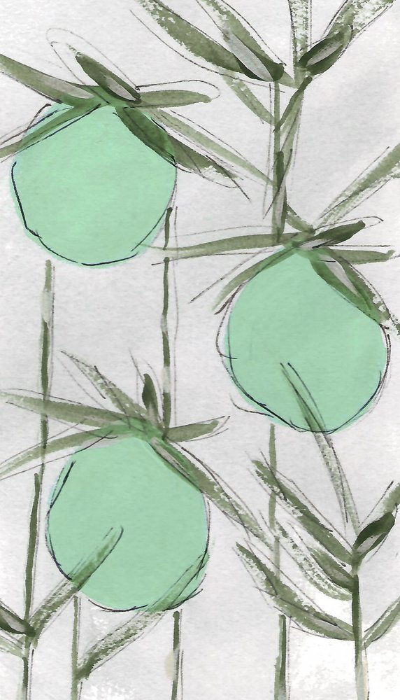 Absztrakt: Green Botanicals alkotó: Lori Ann Folz