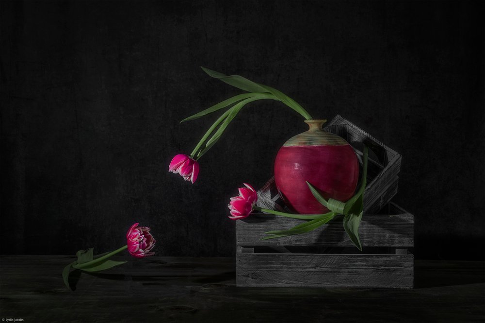 Sötét tulipánok és retek alkotó: Lydia Jacobs