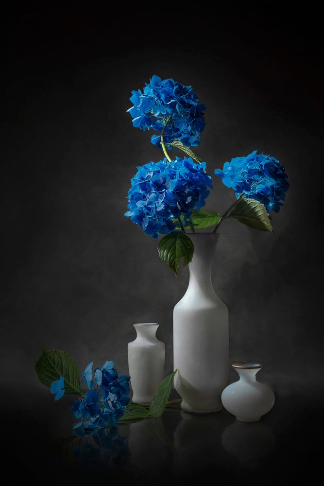 Elegáns kék hortenzia alkotó: Lydia Jacobs