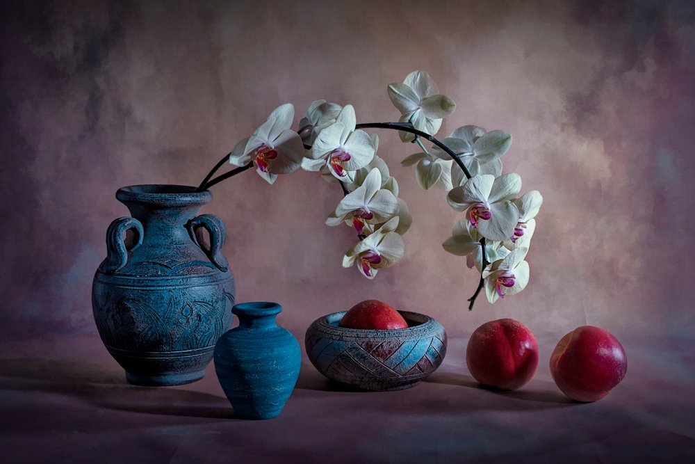 Elegáns orchidea-csendélet alkotó: Lydia Jacobs