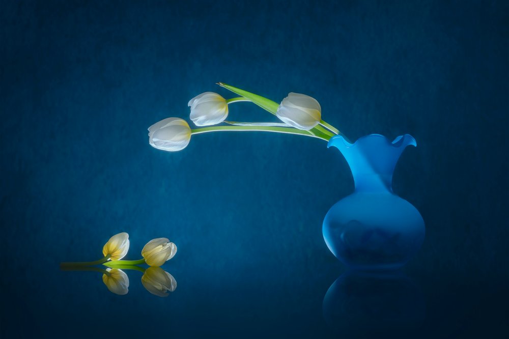 Elegáns fehér tulipánok alkotó: Lydia Jacobs