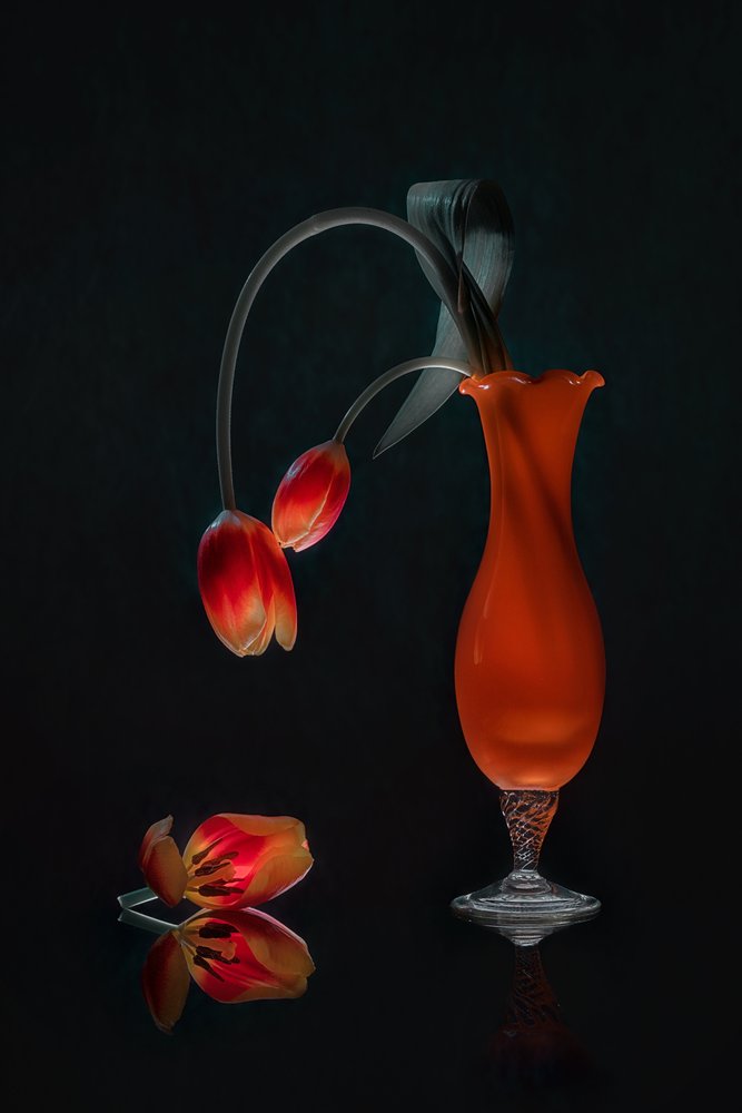 Ragyogó tulipánok csendélet alkotó: Lydia Jacobs