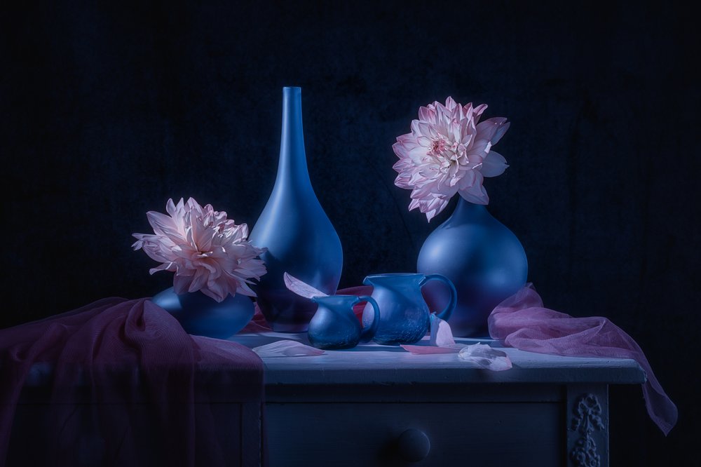 Moody Blue dáliák alkotó: Lydia Jacobs