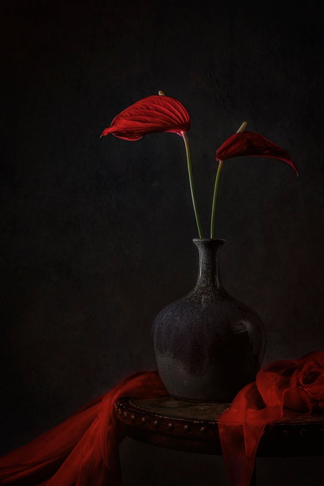 Moody Red anthuriumok alkotó: Lydia Jacobs