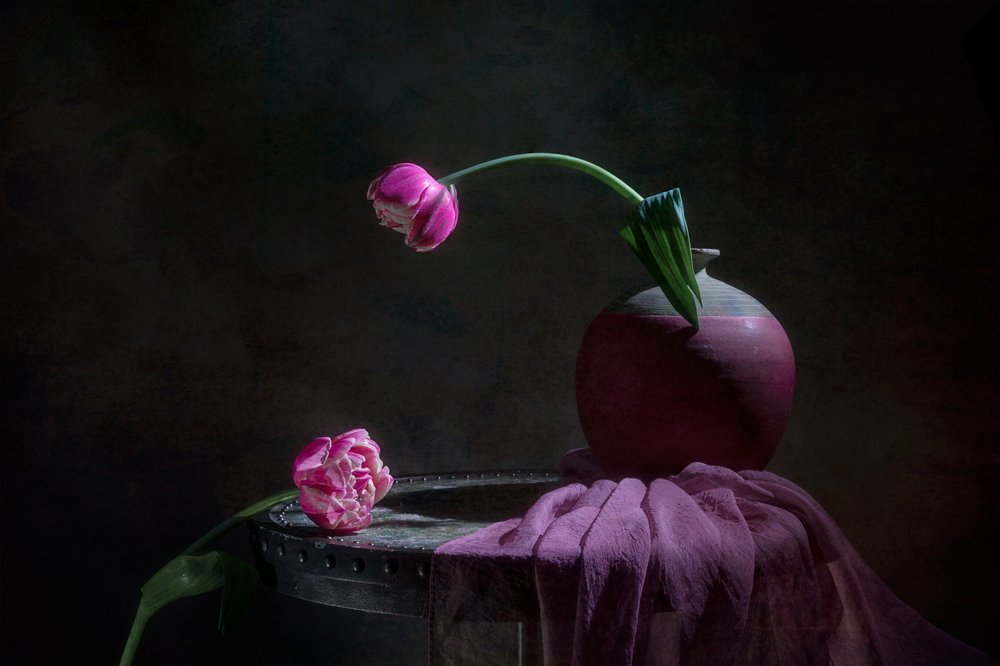 Rózsaszín tulipánok csendélet alkotó: Lydia Jacobs
