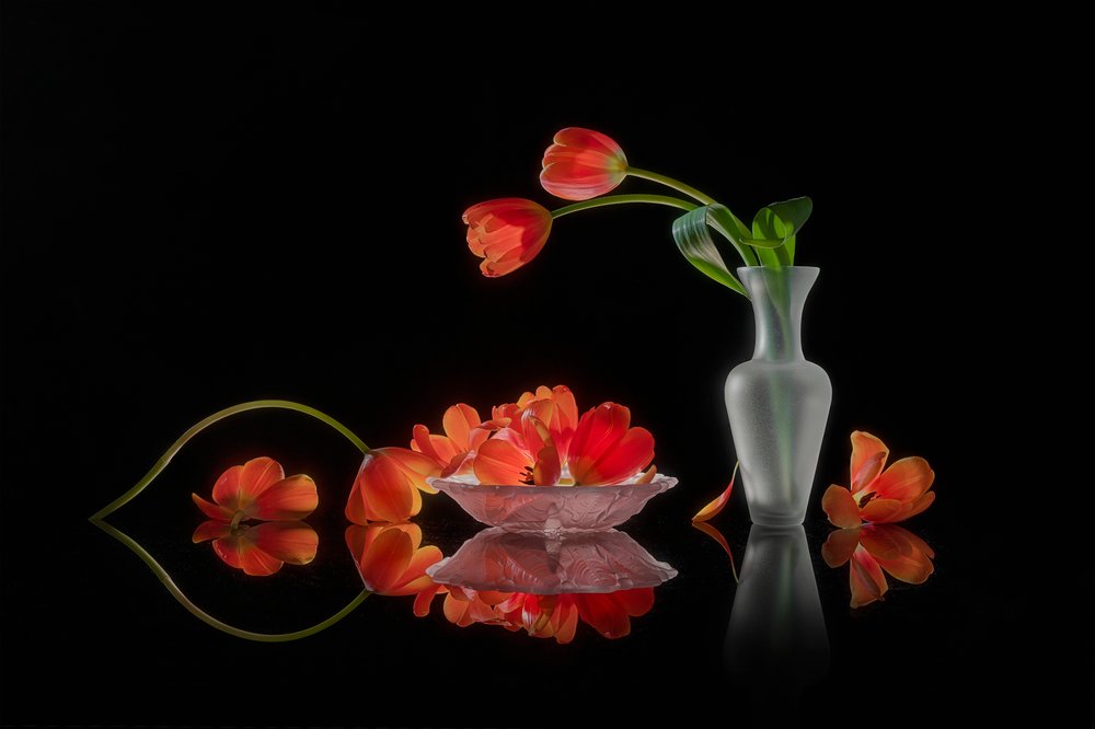 Élénk tulipános csendélet alkotó: Lydia Jacobs