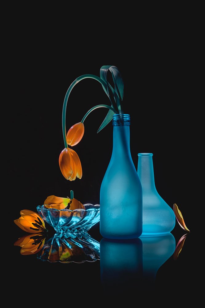 Hanyatló tulipánok – csendélet alkotó: Lydia Jacobs