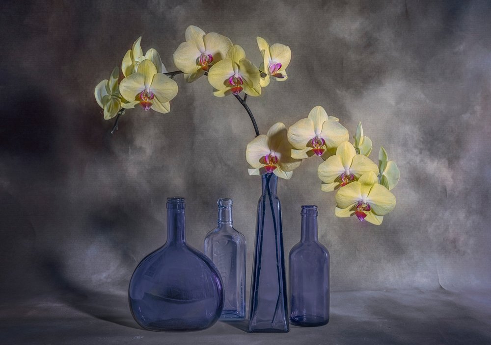 Sárga orchideák, kék üveg alkotó: Lydia Jacobs