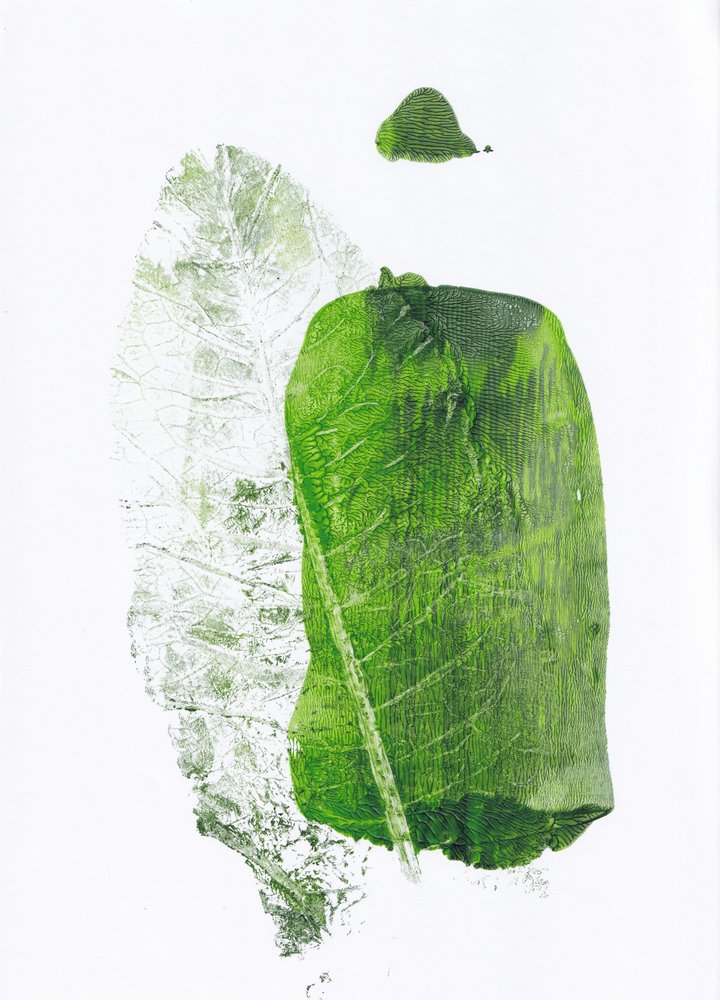 Növényi zöld formák alkotó: Maira Ribena