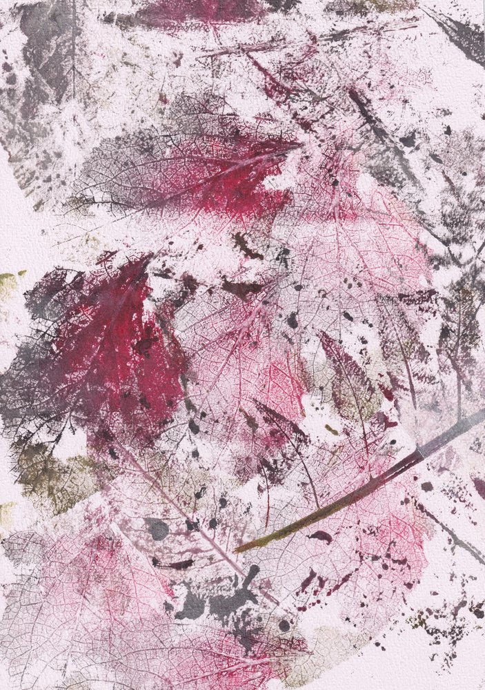 Vöröslevelű benyomások alkotó: Maira Ribena