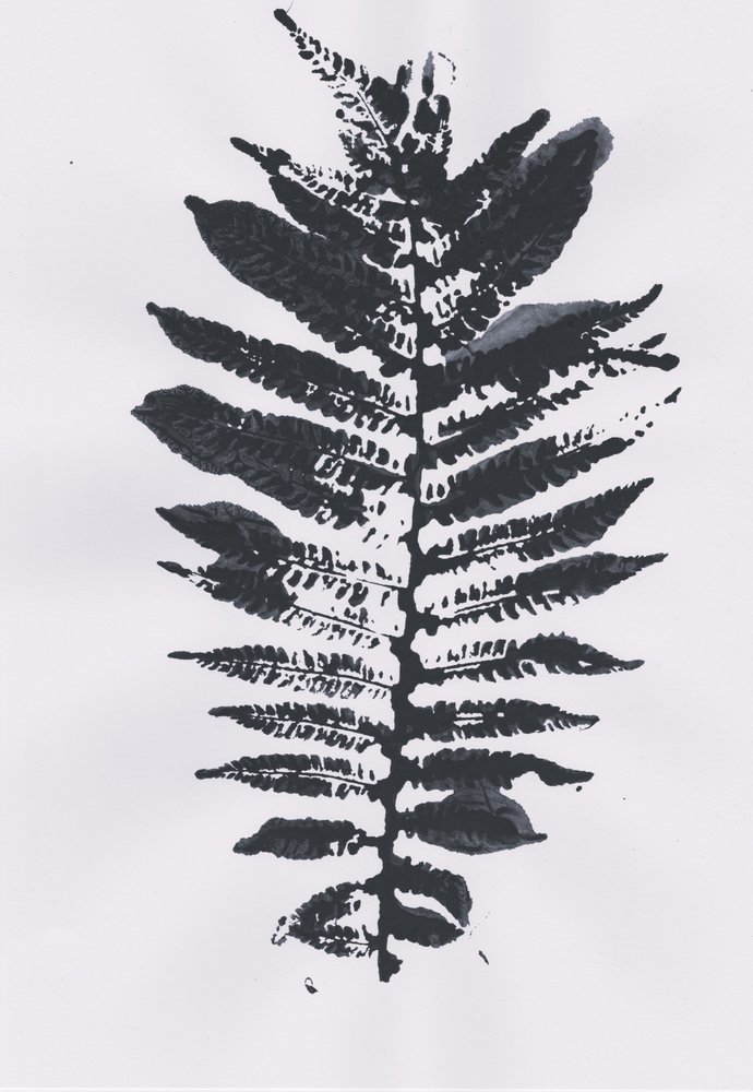 Elegant Fern Leaf alkotó: Maira Ribena