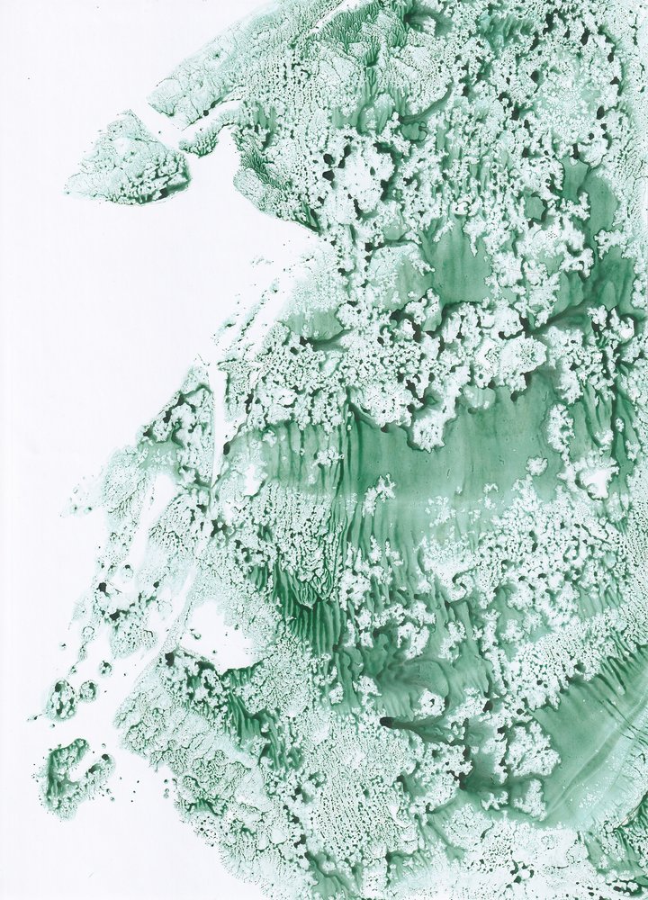  alkotó: Maira Ribena
