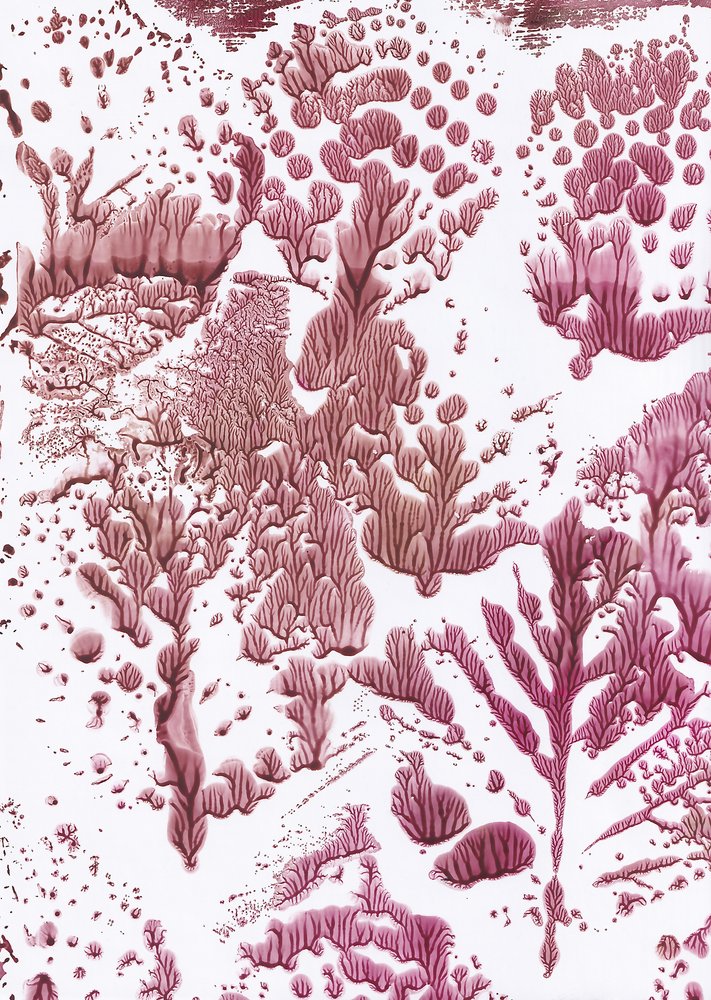 Organikus Maroon Flow alkotó: Maira Ribena