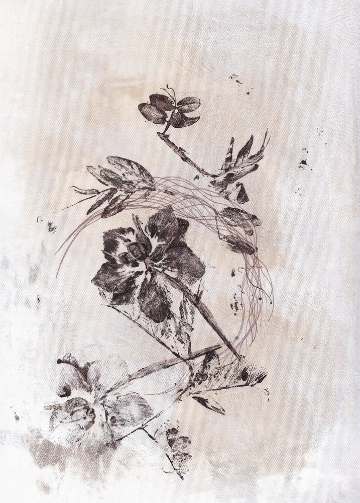  alkotó: Maira Ribena