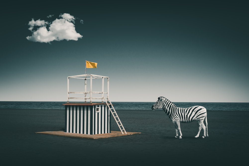 Szürreális tengerparti zebra alkotó: Marcus Hennen