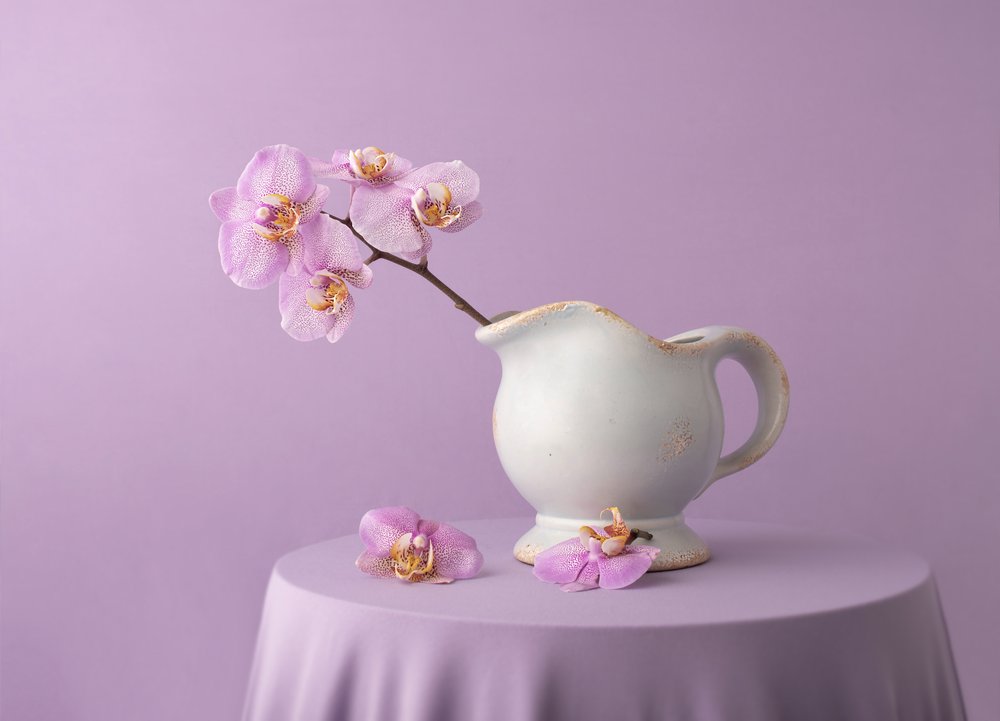  alkotó: Margareth Perfoncio