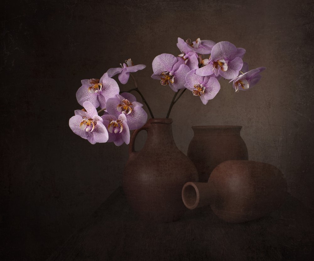  alkotó: Margareth Perfoncio