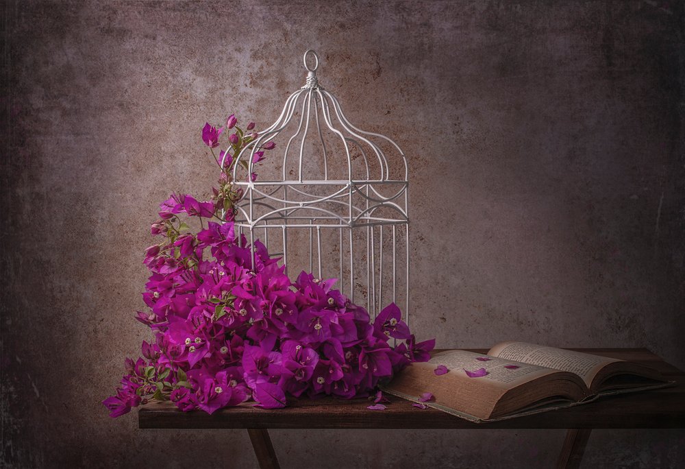 Rusztikus bougainvillea és könyv alkotó: Margareth Perfoncio
