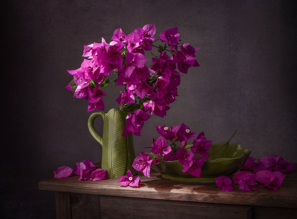 Élénk színekkel festett bougainvillea csendélet alkotó: Margareth Perfoncio