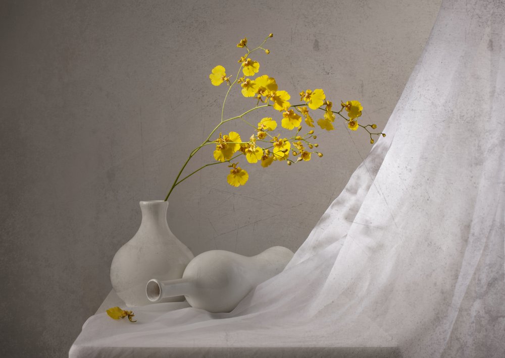 Sárga orchideák csendélet alkotó: Margareth Perfoncio