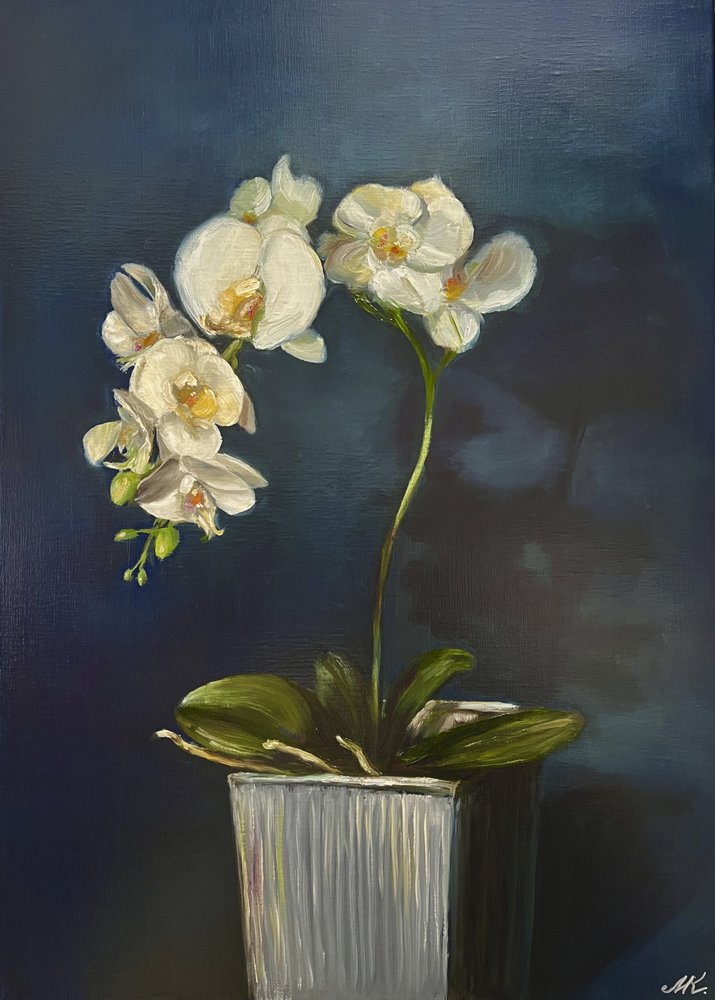 Elegáns cserepes orchidea alkotó: Marina Kozyr